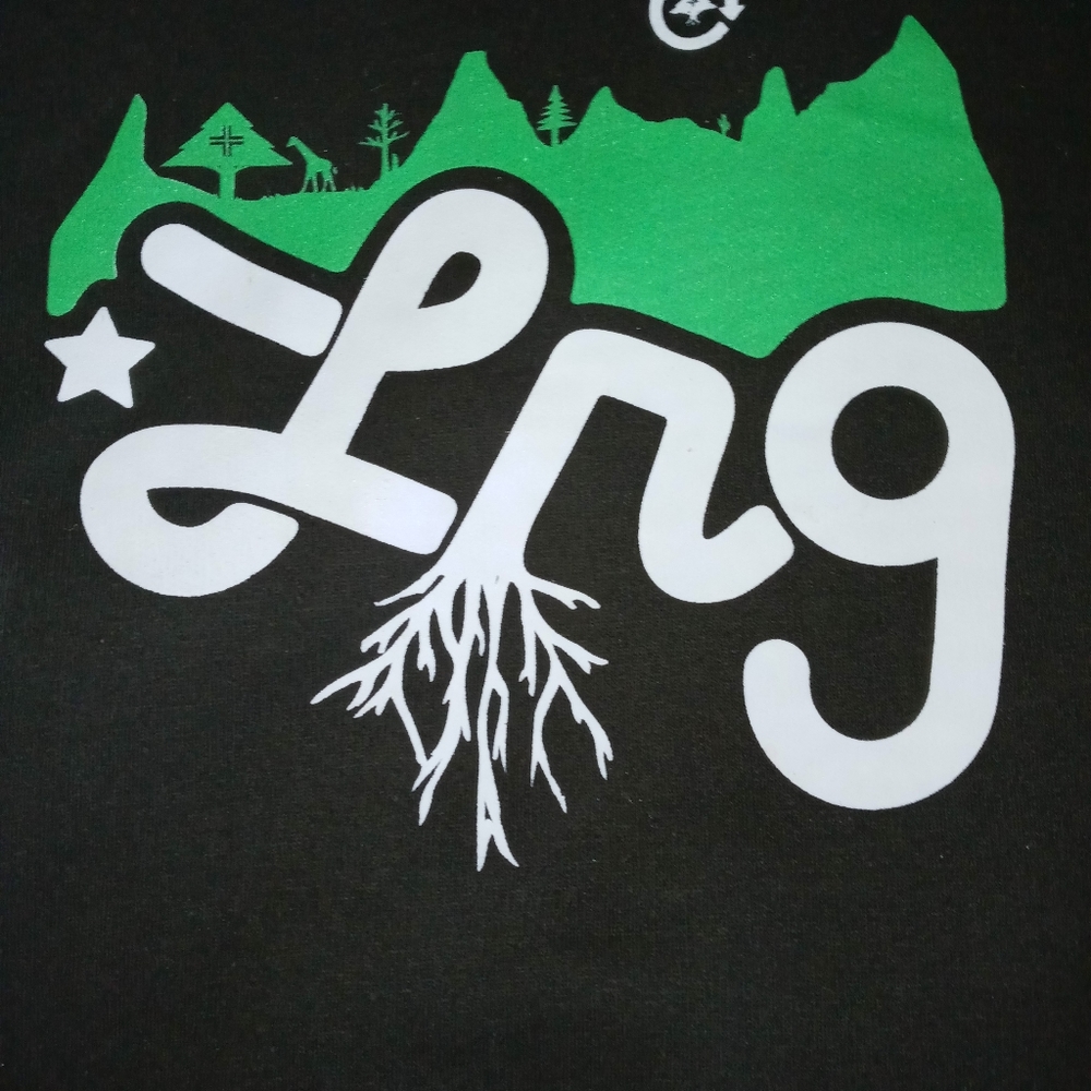 ***NWOT*** LRG HOODY! (Mens Size Lrg)